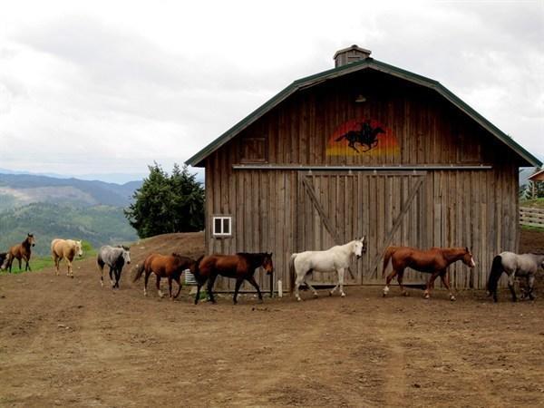 Bull Hill Guest Ranch Hotel Marble ภายนอก รูปภาพ