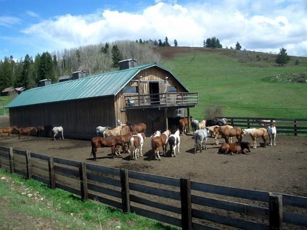 Bull Hill Guest Ranch Hotel Marble ภายนอก รูปภาพ